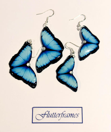 Blue Morpho butterfly earrings.Blue Butterfly Earrings.Nature gift. 