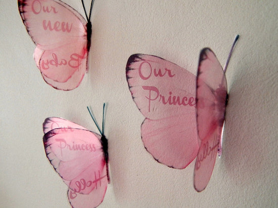Beautiful pink butterflies