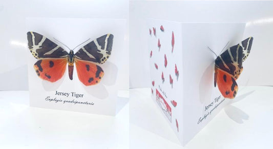 Jersey Tiger 3d butterfly greeting card