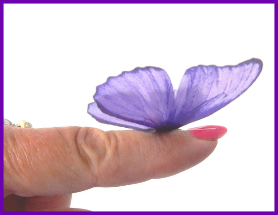 lilac butterflies