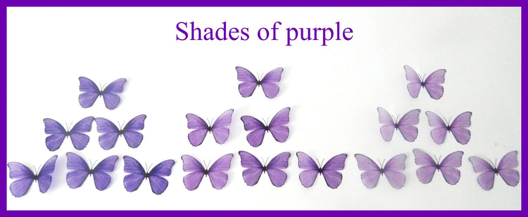 ombre lilac butterflies shades of purple