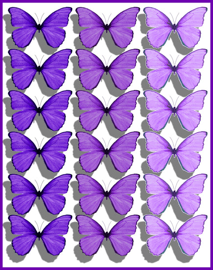 Lilacs are May in essence