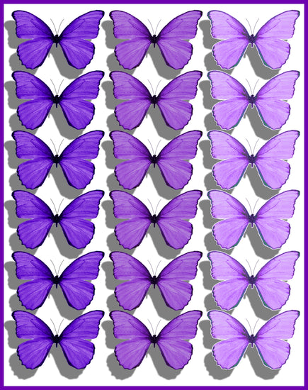 shades of purple butterflies
