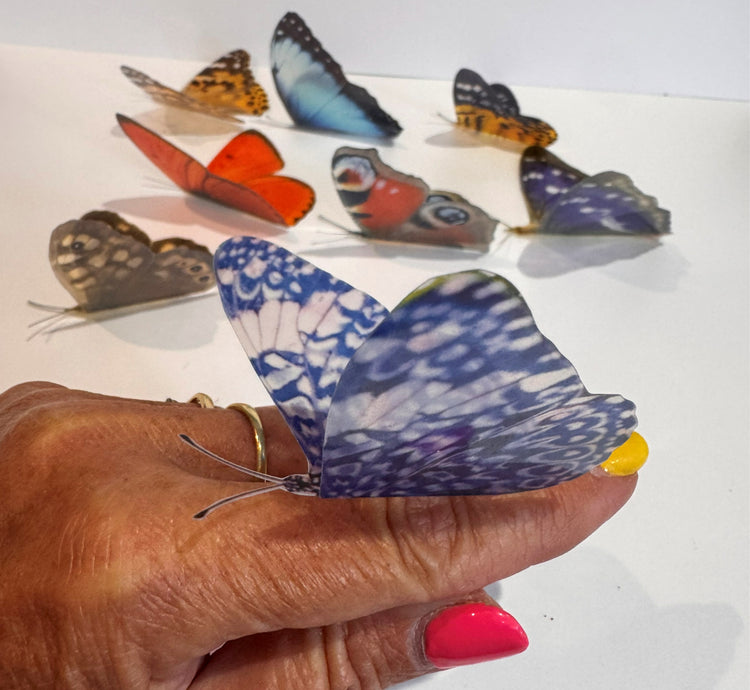 collection of butterflies 3d stickers handmade by flutterframes