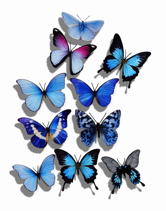 3d natural 3d blue butterfly decor