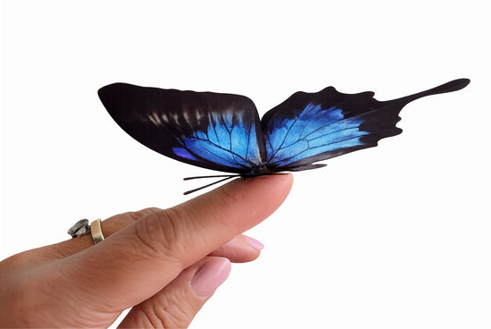 3d natural 3d blue butterfly decor handmade