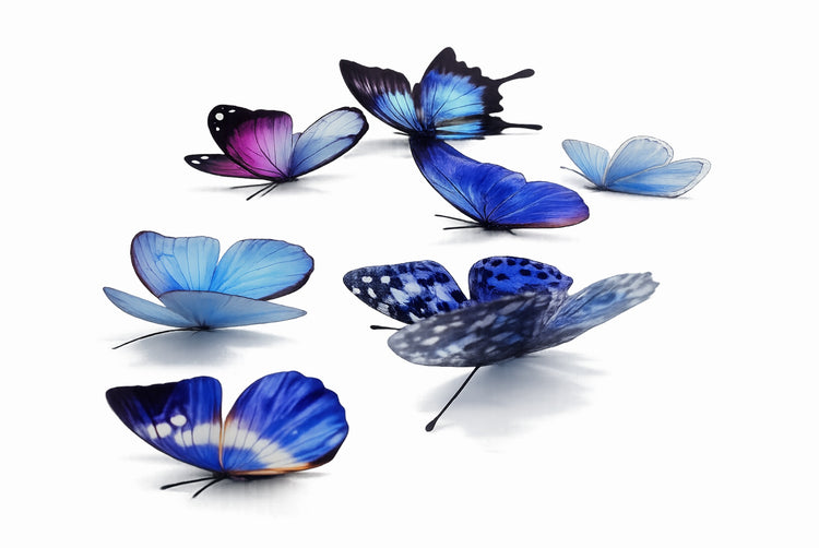 3d natural 3d blue butterfly handmade decor