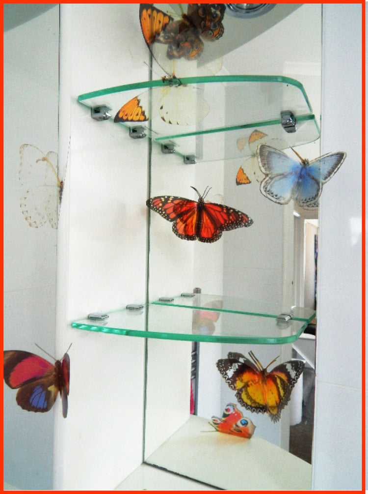 8 natural 3D butterflies,3d wall decor butterflies, realistic butterflies from the Flutterframes collection