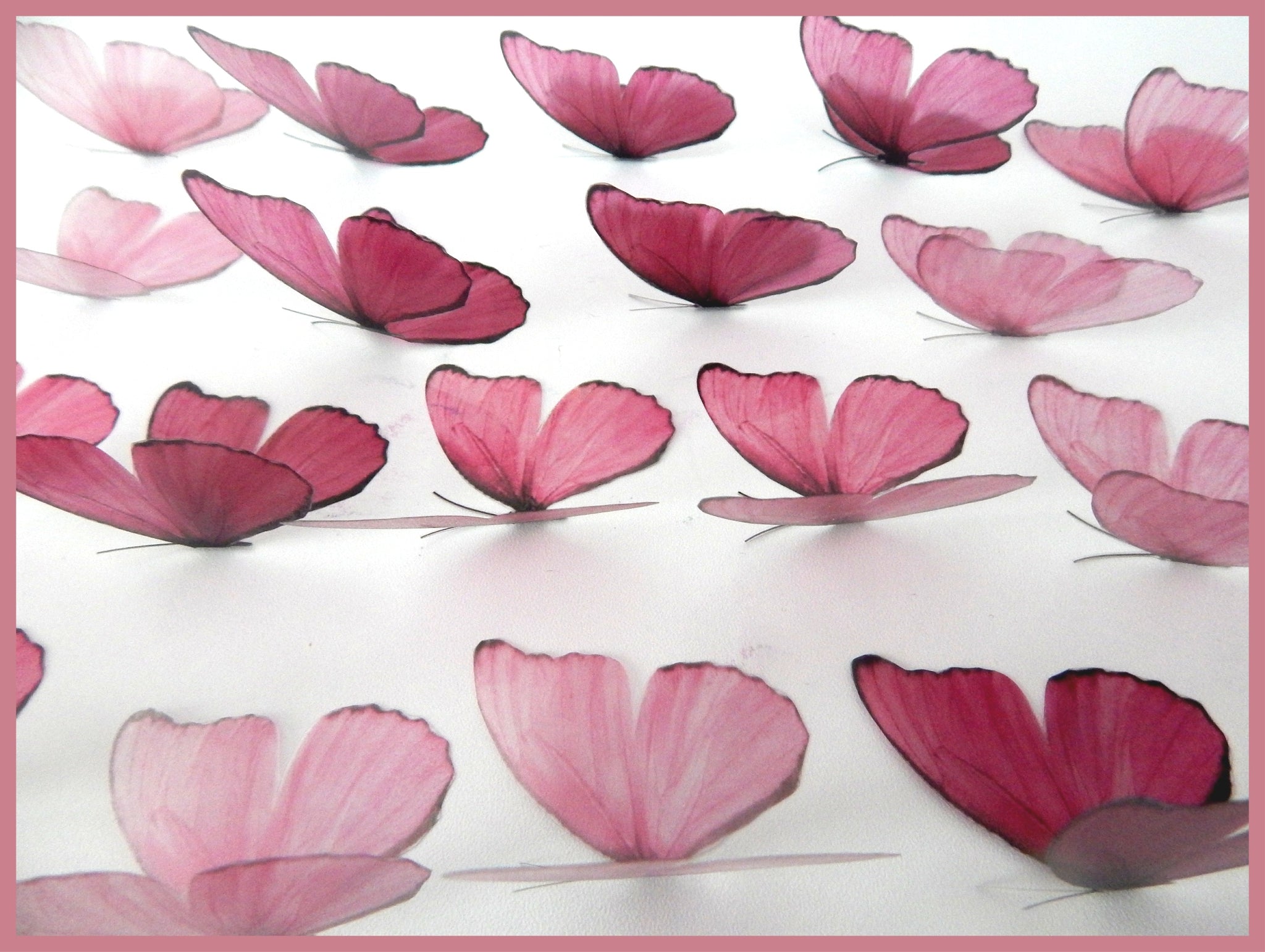 Shades of pink Butterflies, set of 18, 7cm wide. Pink party decor, div ...