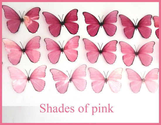 ombre pink butterflies
