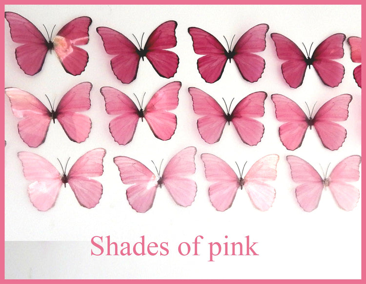 ombre pink butterflies