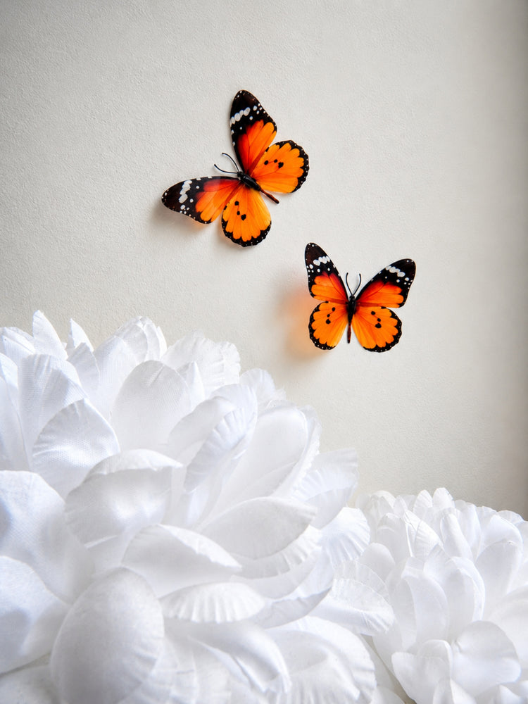 orange butterflies