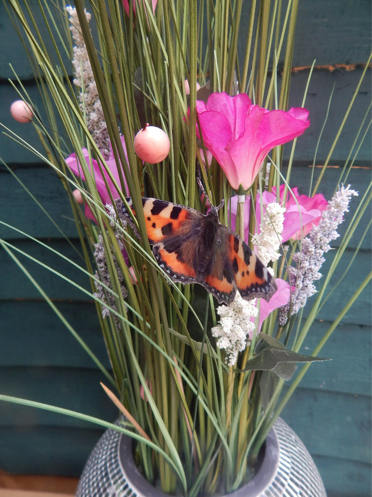 outdoor British butterflies
