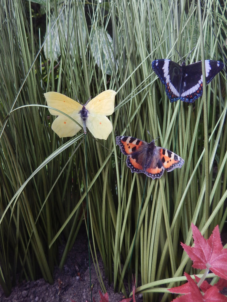 fade resistant outdoor British butterflies by Flutterframes 