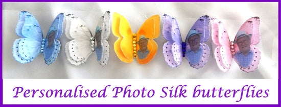 photo silk butterflies