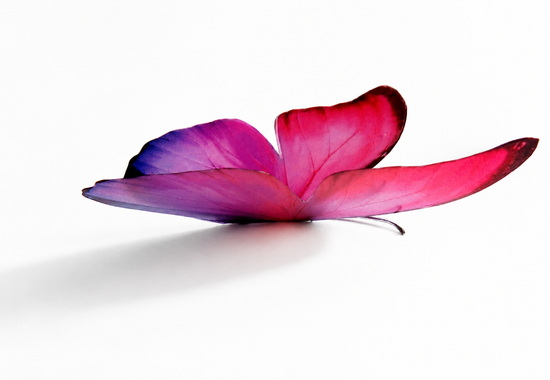 pink butterfly wall sticker 3d