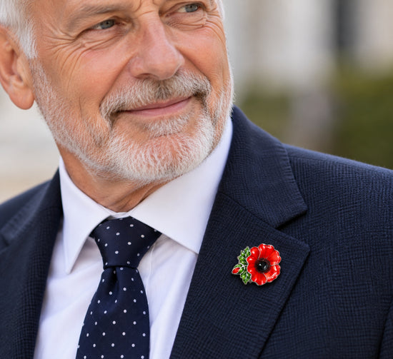 Remembrance day brooch and poppy pin