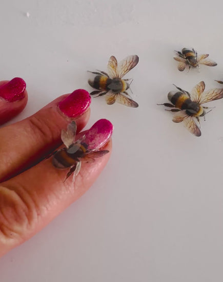 bumble bee embellishments