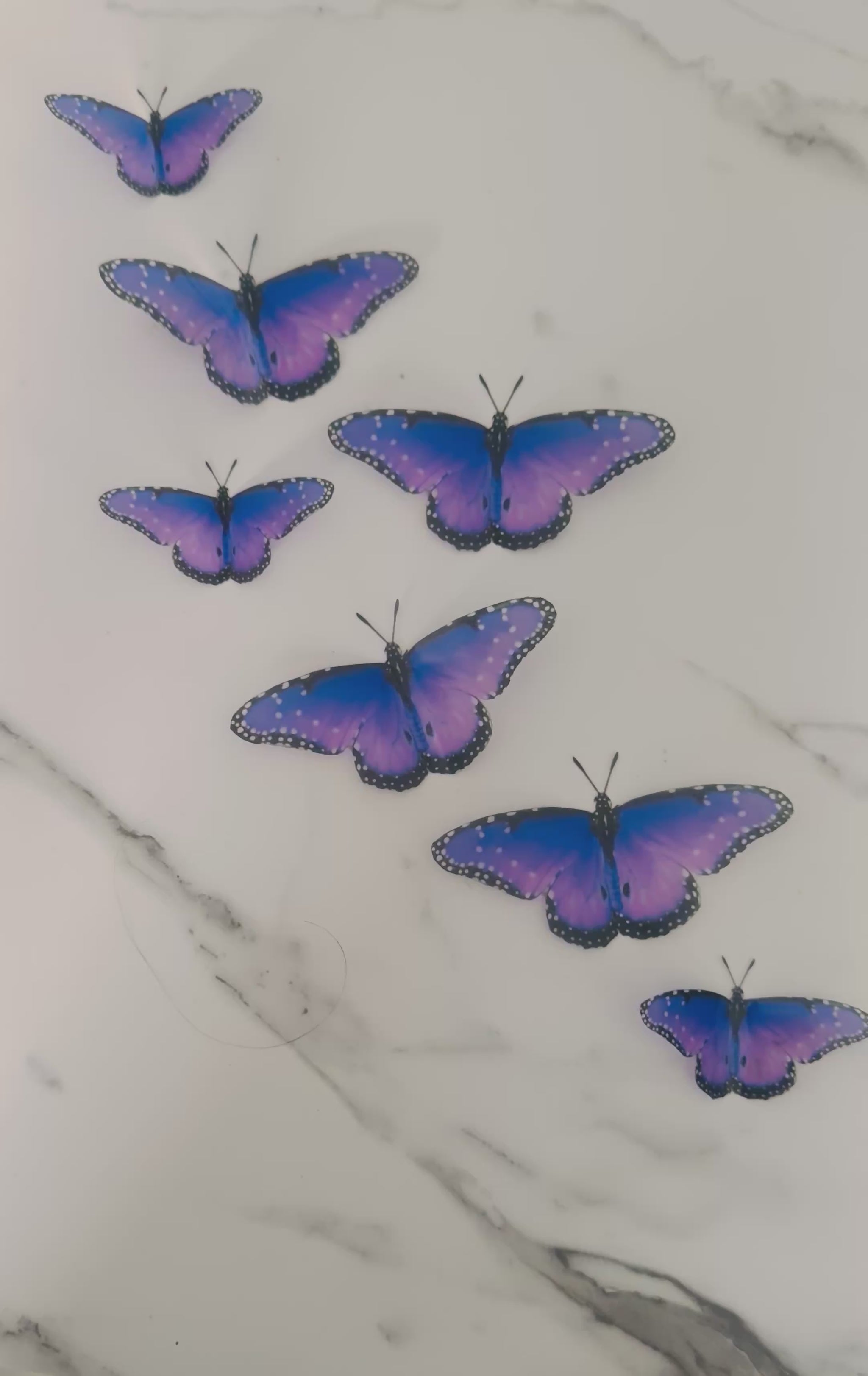 Beautiful purple butterfly decor