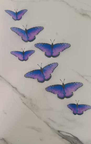 Beautiful purple butterfly decor