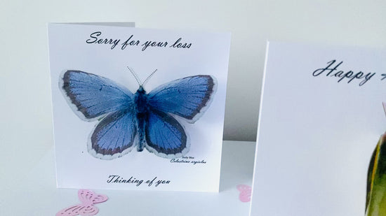 butterfly 3d realistic handcrafted greeting cards