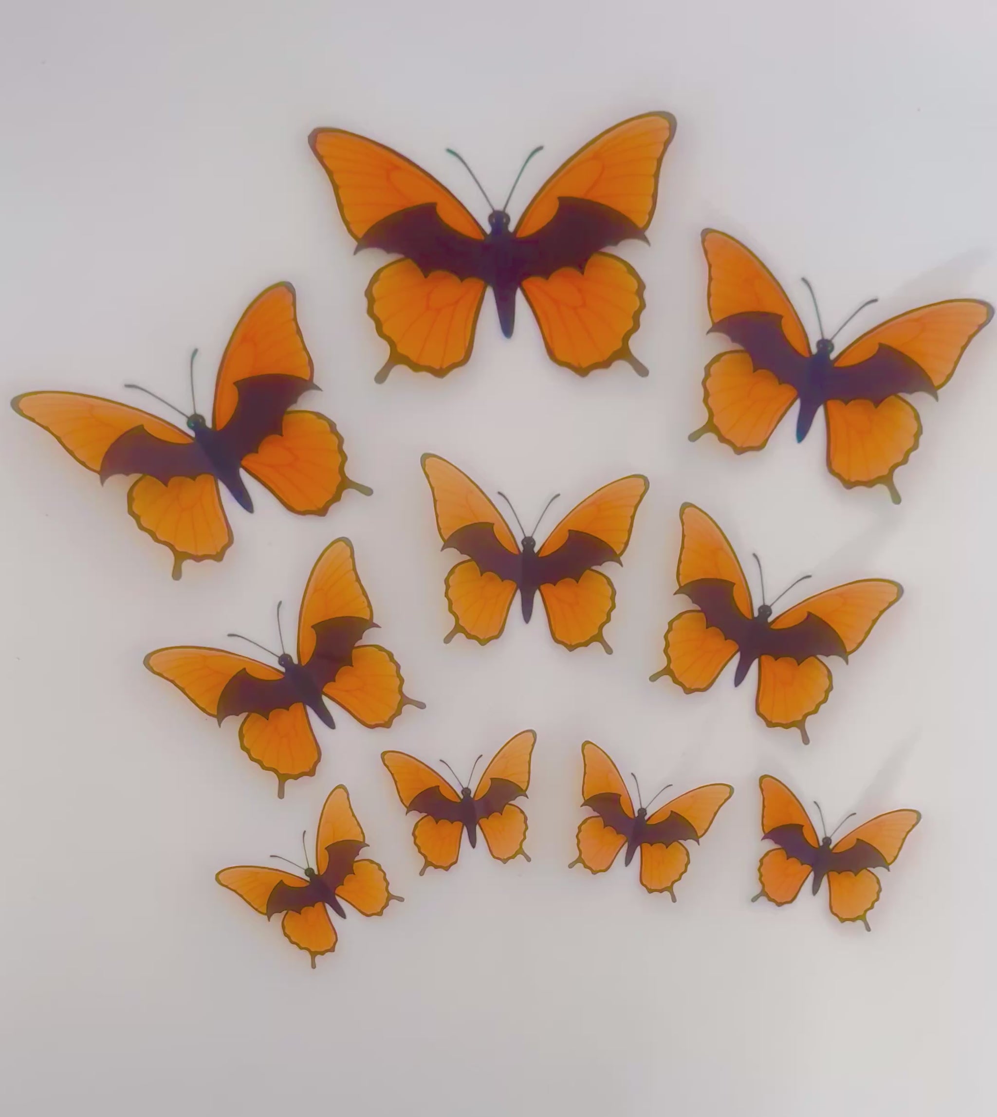 Halloween butterfly wall stickers by Flutterframes