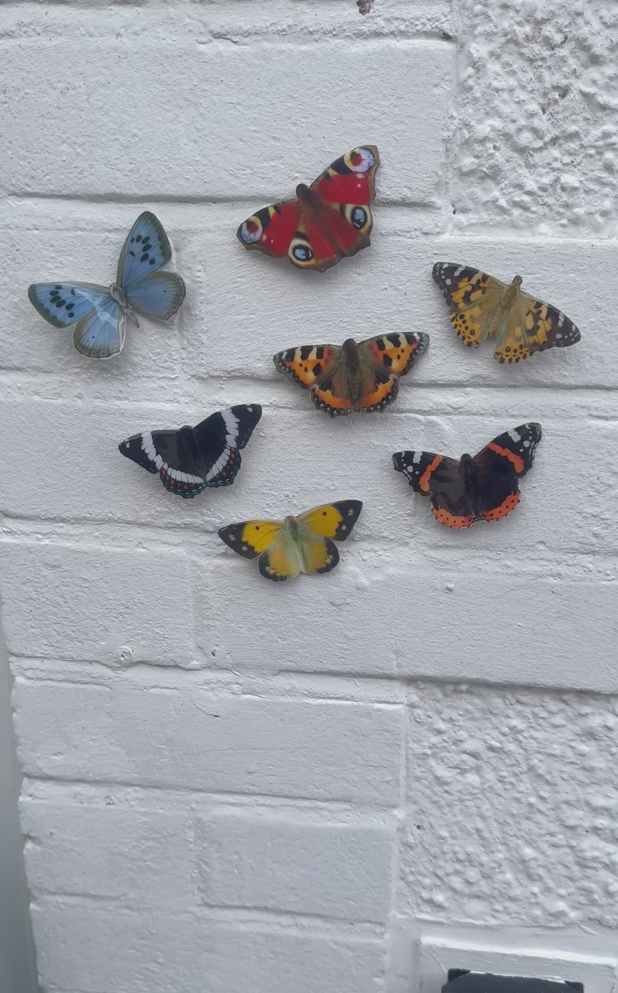 outdoor weatherproof _British_butterflies