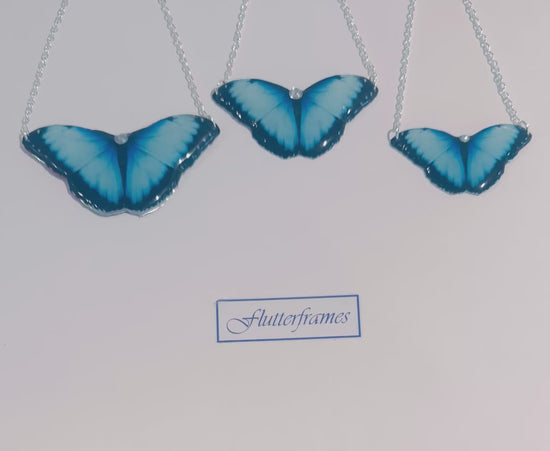 Blue Morpho Butterfly necklace Butterfly collection