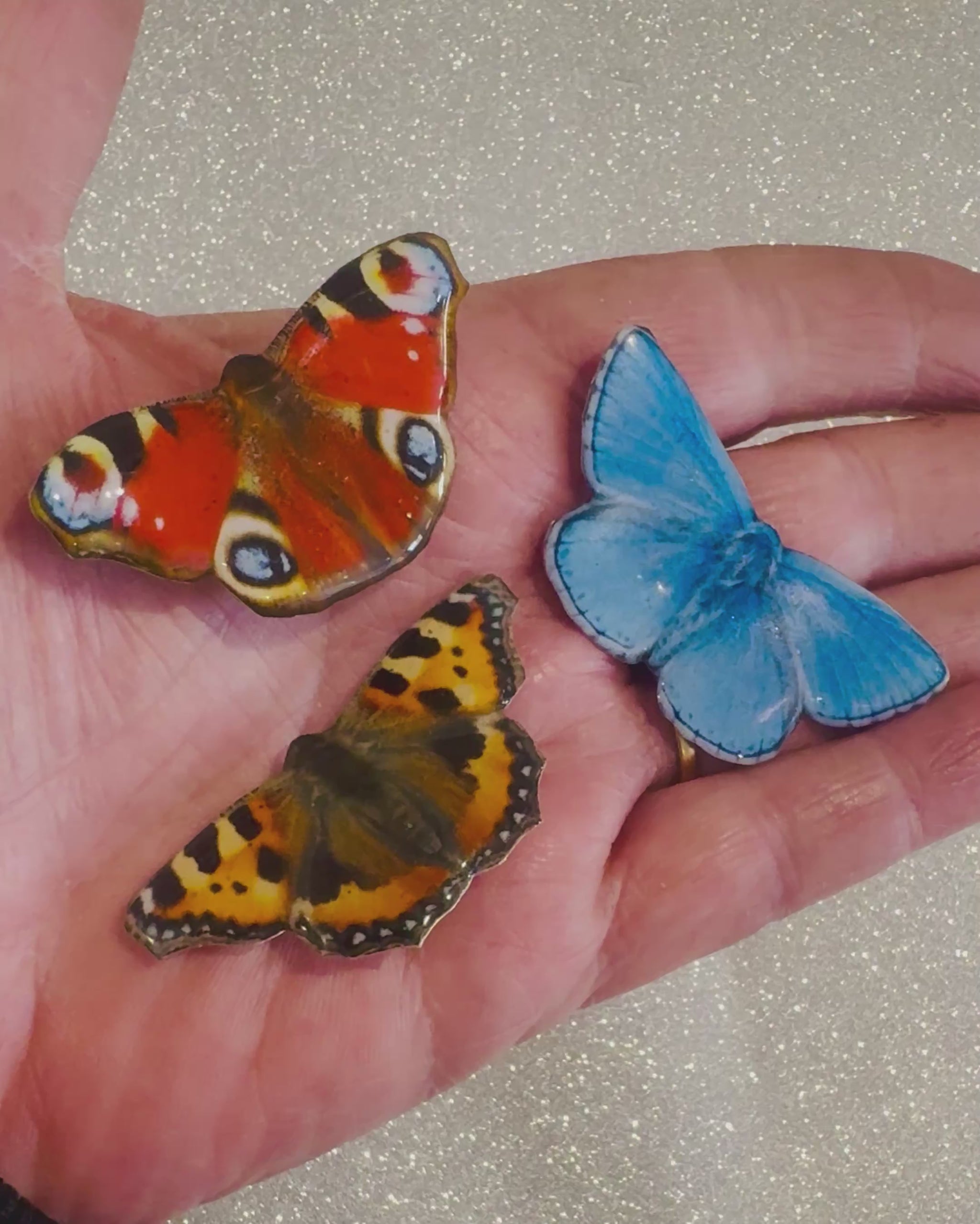 Holly Blue , Peacock and tortoiseshell butterfly set of 3 British butterfly magnets. handmade