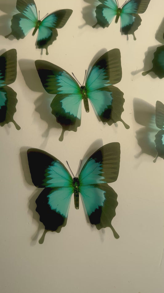 Turquoise Butterfly 3d wall art