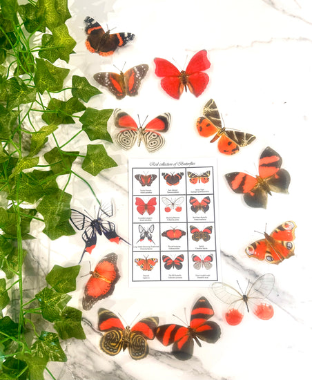 red natural around the world butterflies decor