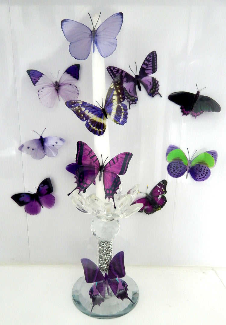 set of purple and lilac butterflies