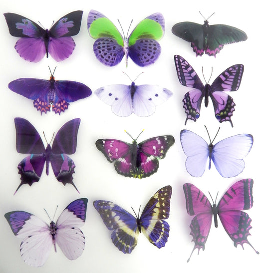 set of 12 purple and lilac butterflies