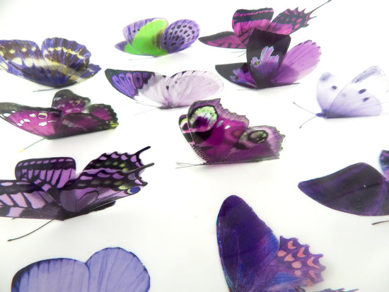 set of purple and lilac butterflies for wedding