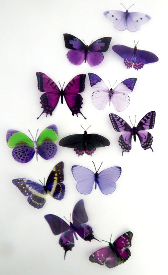 wedding set of purple and lilac butterflies