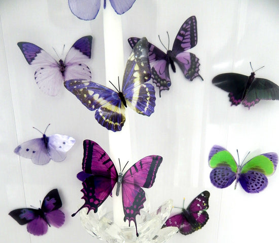 Bexleyheath gift shop set of purple and lilac butterflies