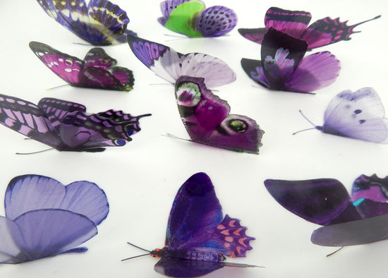 3d purple and lilac butterflies