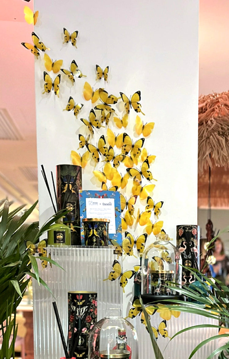 Yellow and black butterfly display