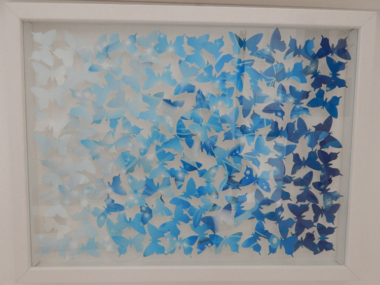 3d shades of blue ombre 3d butterfly picture by Flutterframes