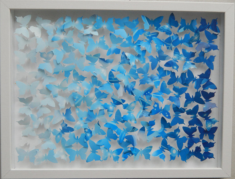 3d shades of blue  3d butterfly picture by Flutterframes