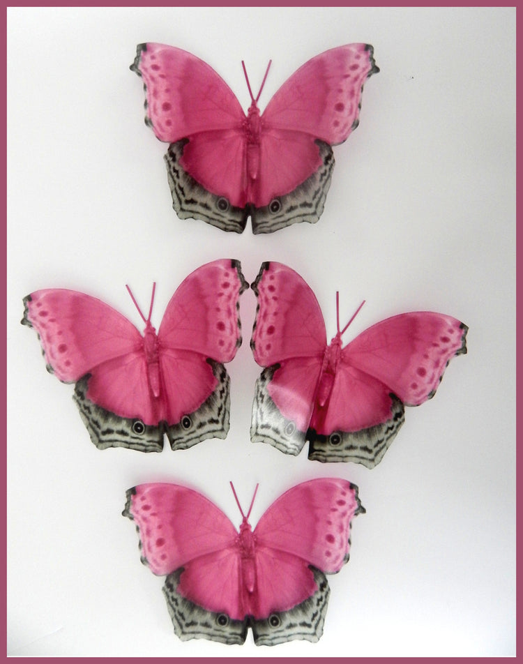 pink natural butterfly sticker