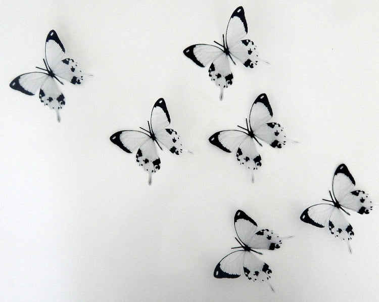 Black and white butterfly stickers