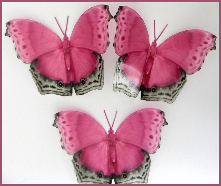Royal didcot natural pink butterflies for wedding