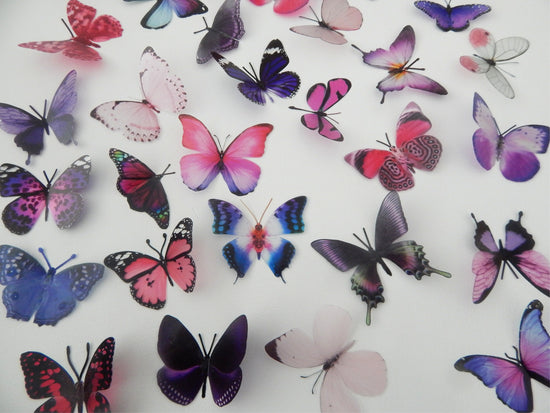 set of 30 pink and purple butterflies