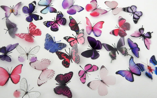 set of 30 natural pink and purple butterflies