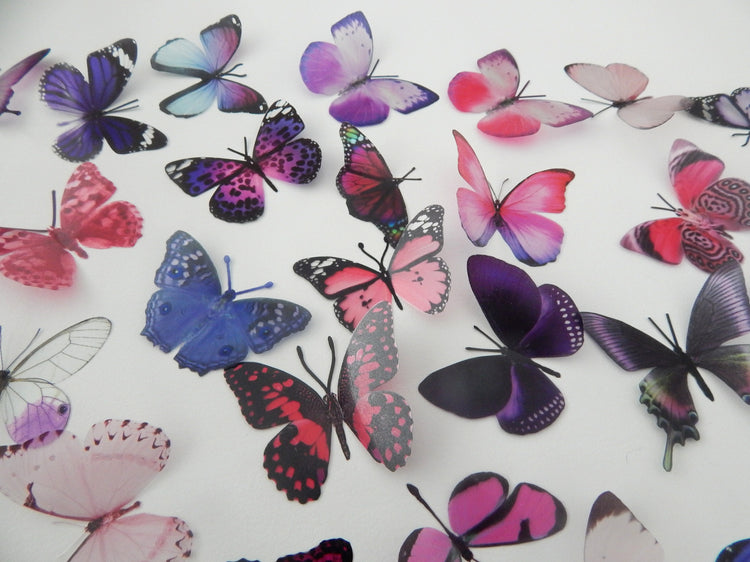 crafting butterflies scrapbooking