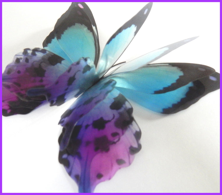 pretty butterfly for gift box