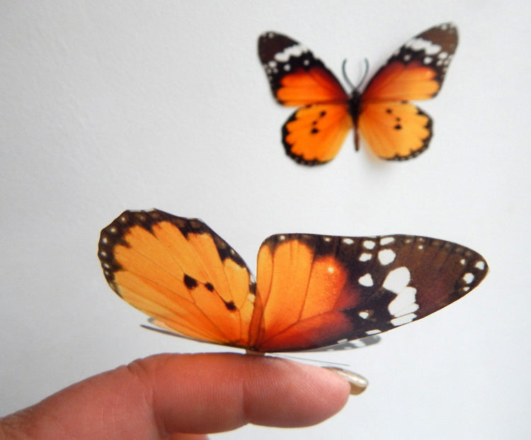 Set of 6 Orange 3D Butterfly Wall Stickers