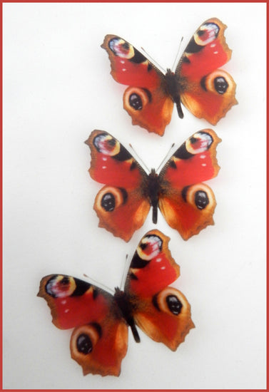 natural wedding butterflies