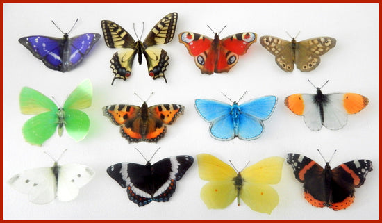 Set of 12 British butterflies